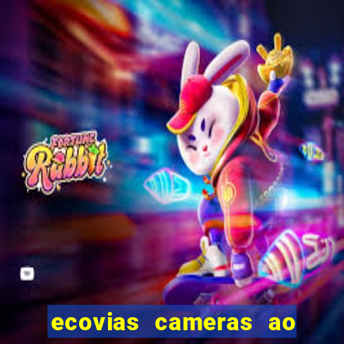 ecovias cameras ao vivo santos